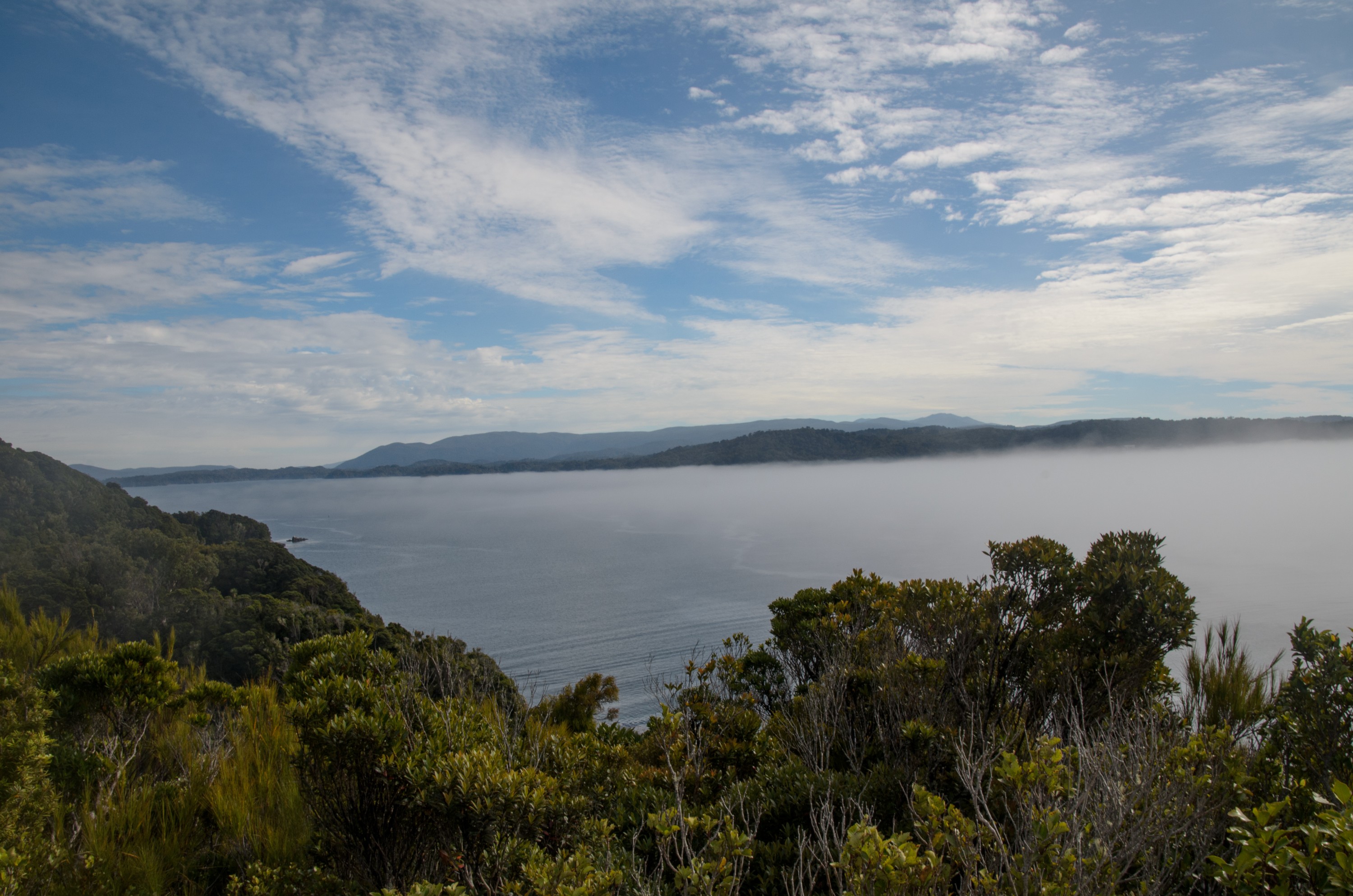 DSC_2517 – Adventure, Crispin, Island, March 2017, National Park, New, New Zealand, Paterson Inlet, Rakiura, South, Stewart, Ulva, Zealand